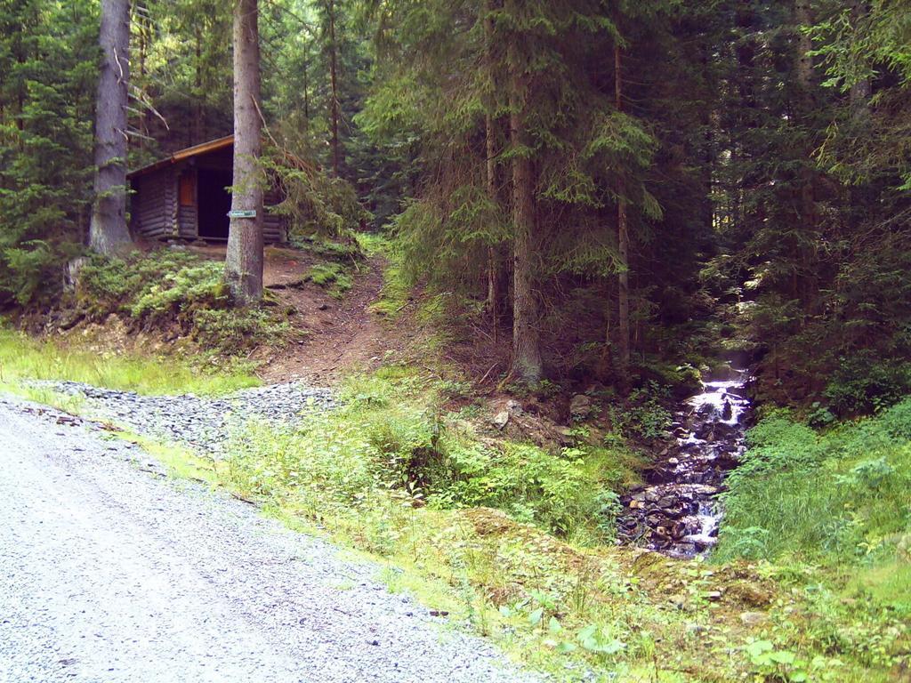 Ferienwohnung Reisinger Arnbruck Eksteriør bilde